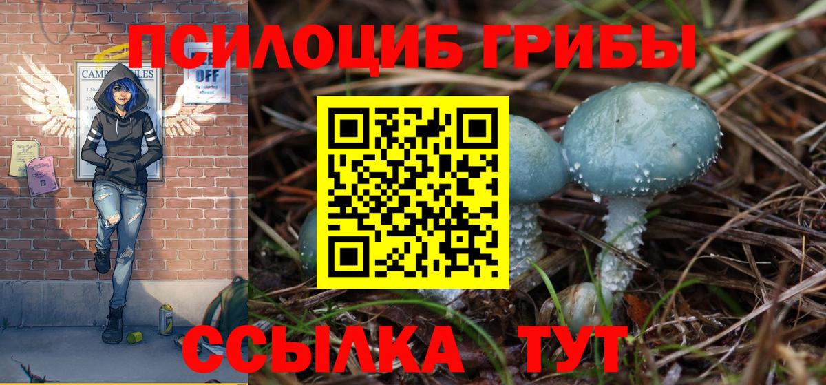 Галлюциногенные грибы Psilocybine cubensis  Галлюциногенные грибы Magic Shrooms  Кумертау  закладка  Вход с VPN 